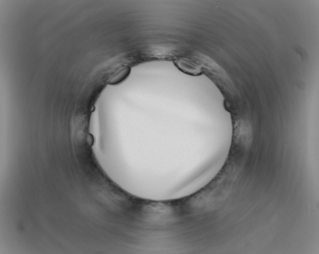 X0000113880421200910221400