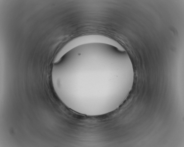 X0000113880423200910221400