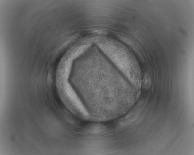 X0000113880424200910221400
