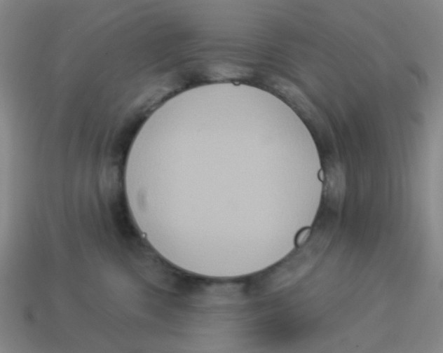 X0000113880426200910221400