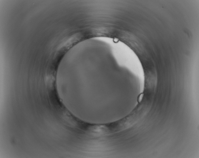 X0000113880427200910221400