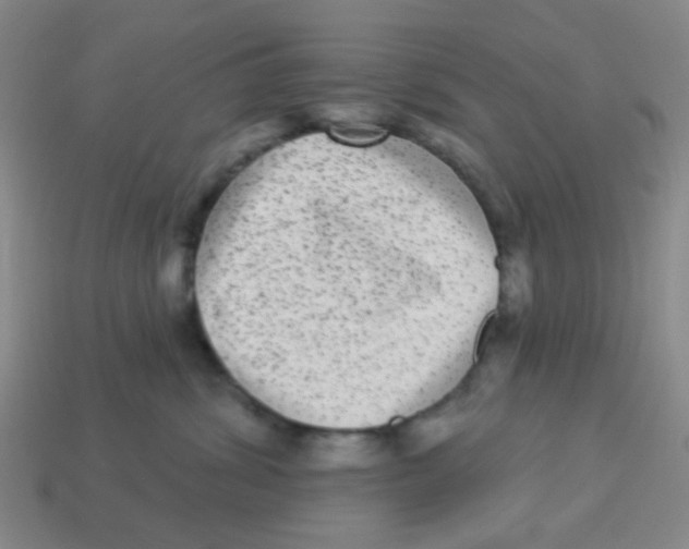 X0000113880428200910221400