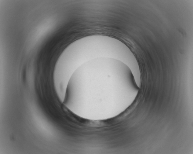 X0000113880429200910221400