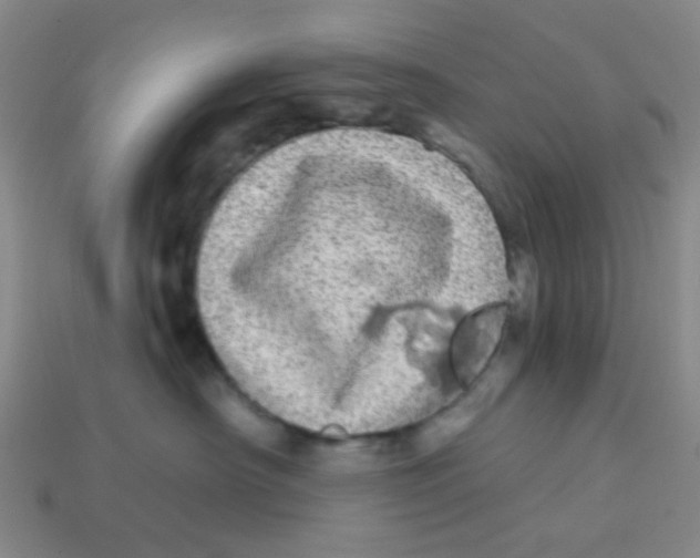 X0000113880430200910221400
