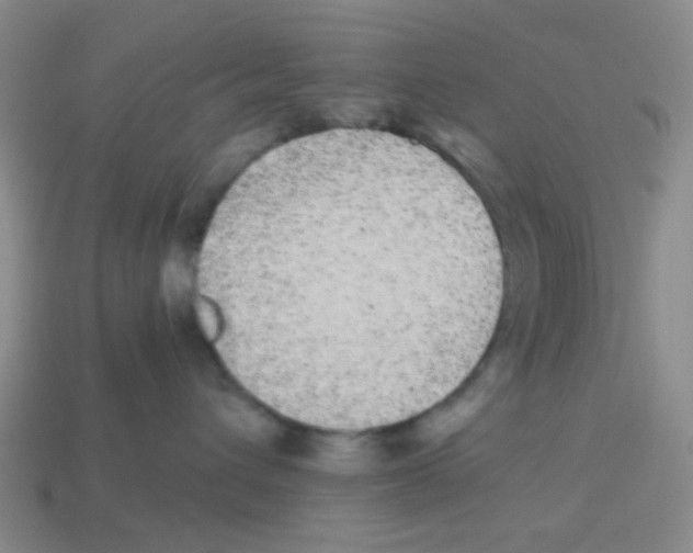 X0000113880432200910221400