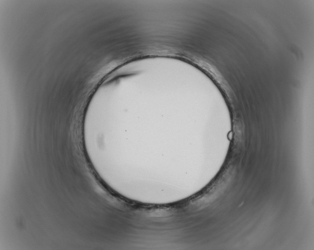X0000113880433200910221359