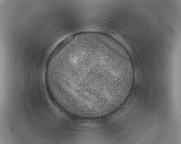 X0000113880434200910221359
