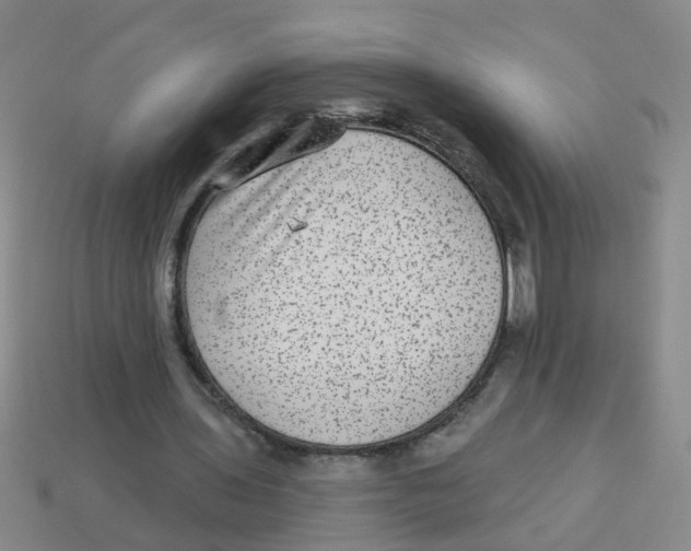 X0000113880435200910221359