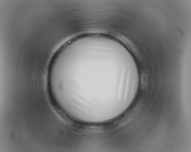 X0000113880436200910221359