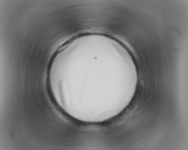 X0000113880437200910221359