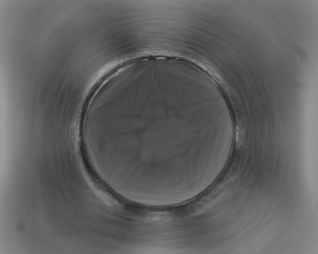 X0000113880438200910221359