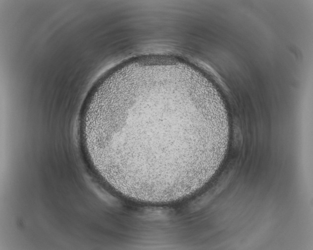X0000113880439200910221359