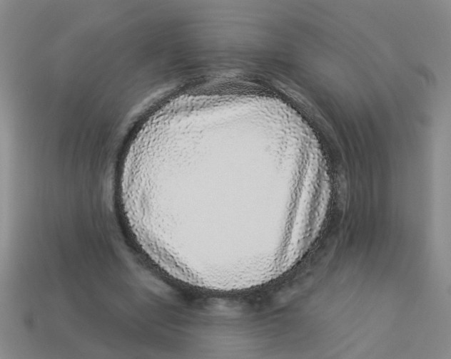 X0000113880442200910221359