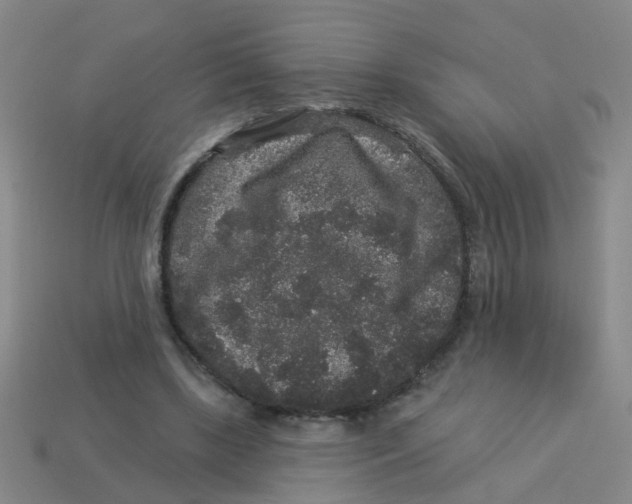 X0000113880443200910221359