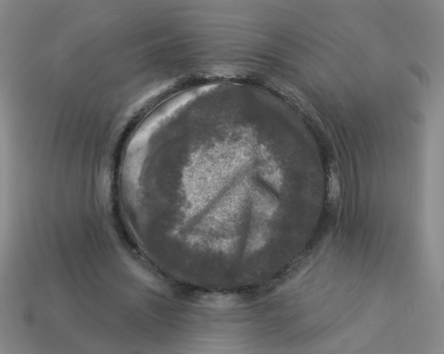 X0000113880444200910221359
