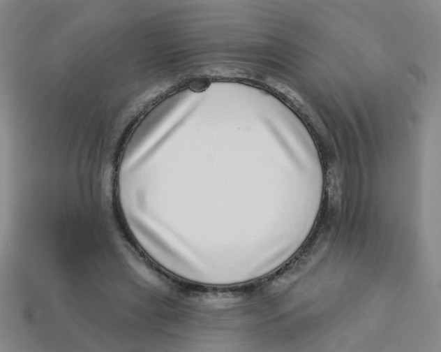X0000113880445200910221359