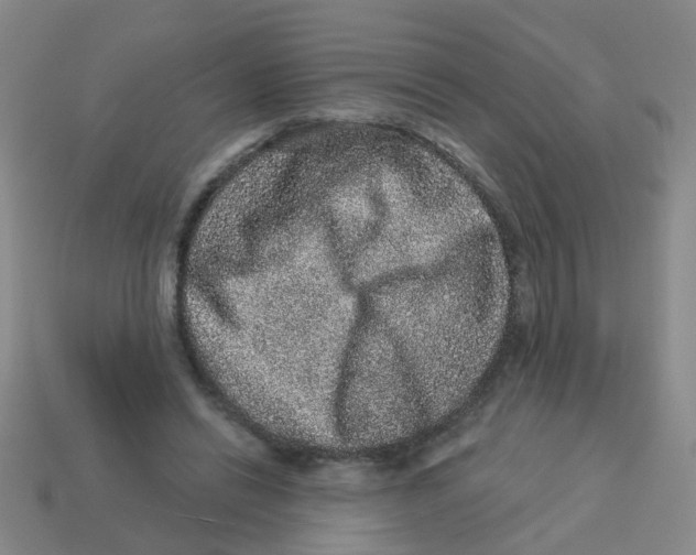 X0000113880446200910221359