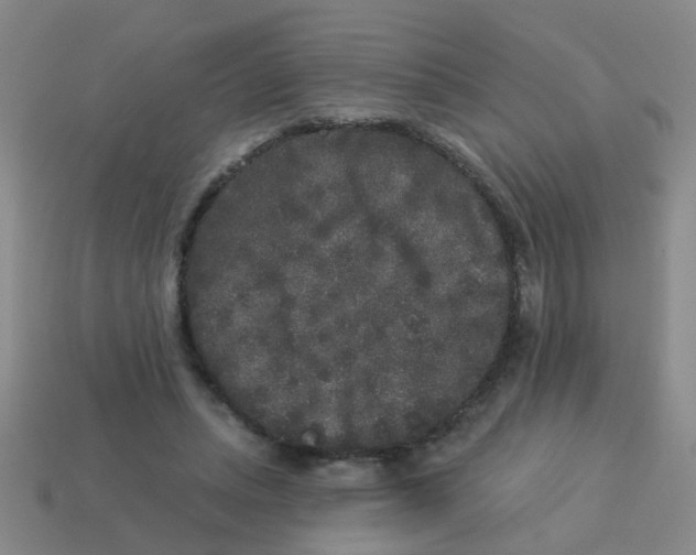 X0000113880447200910221359
