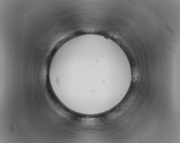 X0000113880448200910221359