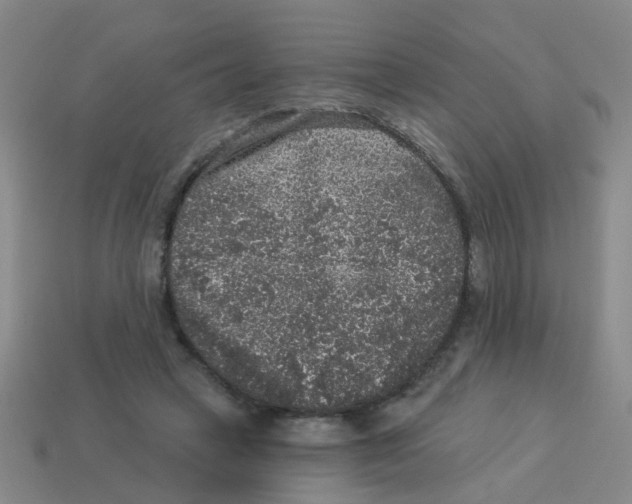 X0000113880449200910221359