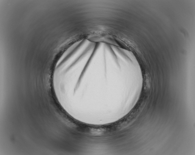 X0000113880450200910221359