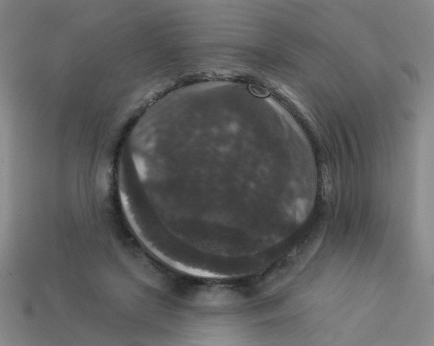 X0000113880451200910221359