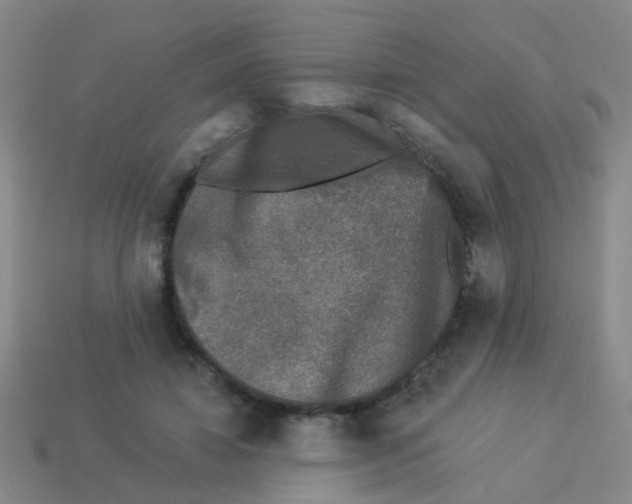 X0000113880452200910221359