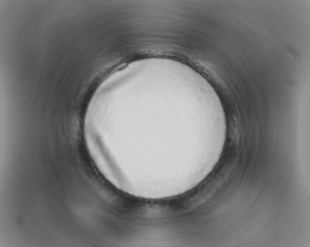 X0000113880453200910221359