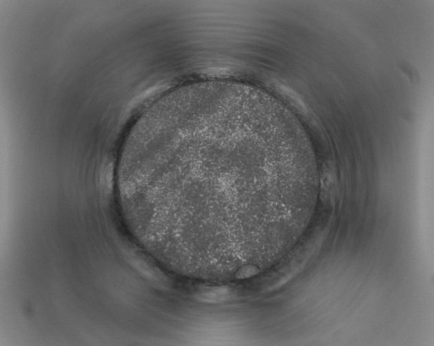 X0000113880454200910221359