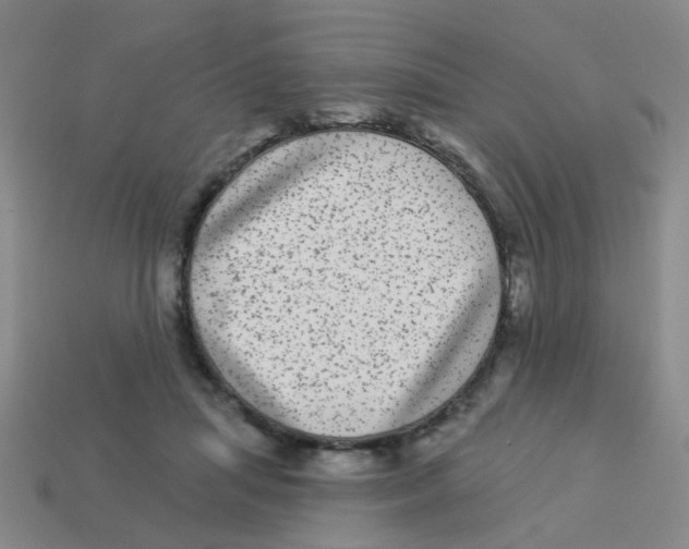 X0000113880455200910221359
