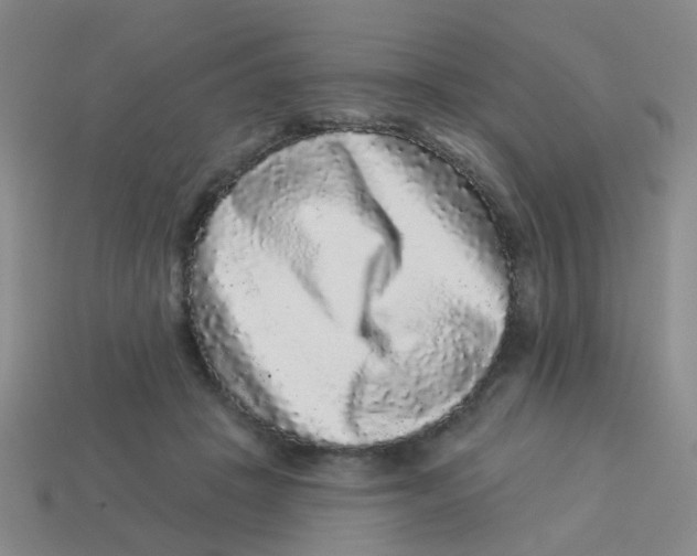 X0000113880457200910221359