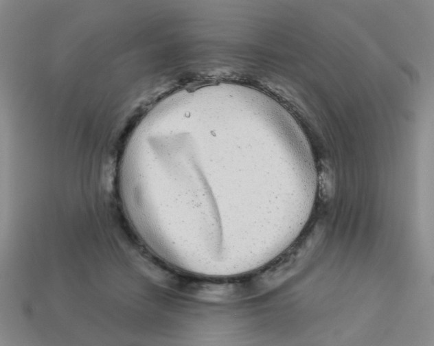X0000113880458200910221359