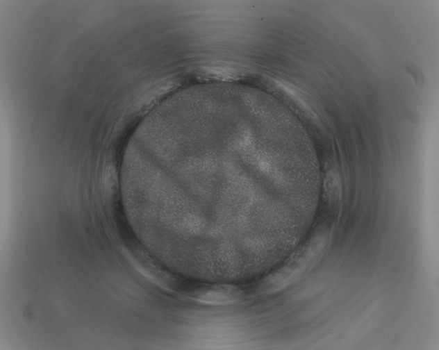 X0000113880459200910221359