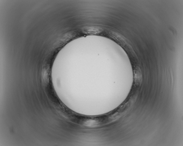 X0000113880460200910221359
