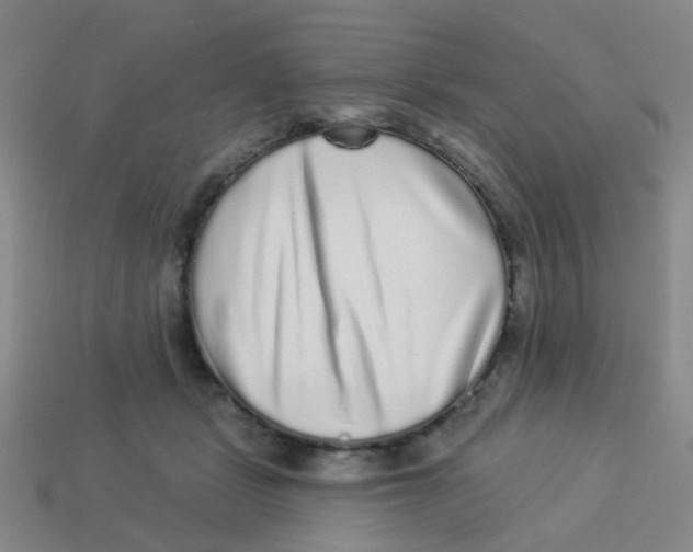 X0000113880461200910221359