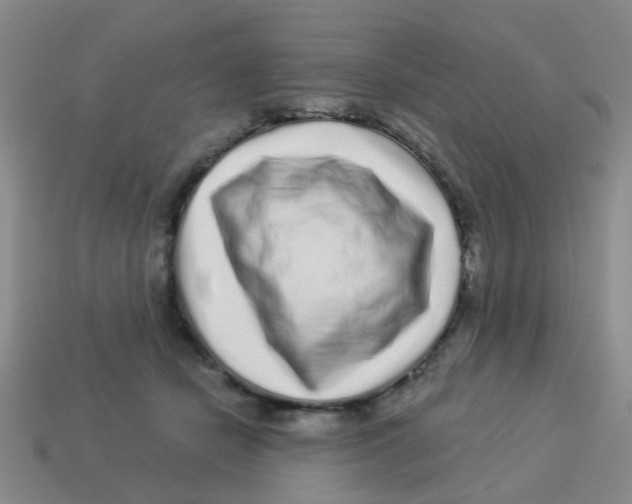 X0000113880462200910221359