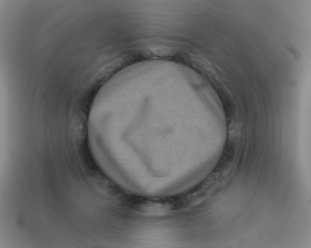 X0000113880464200910221359