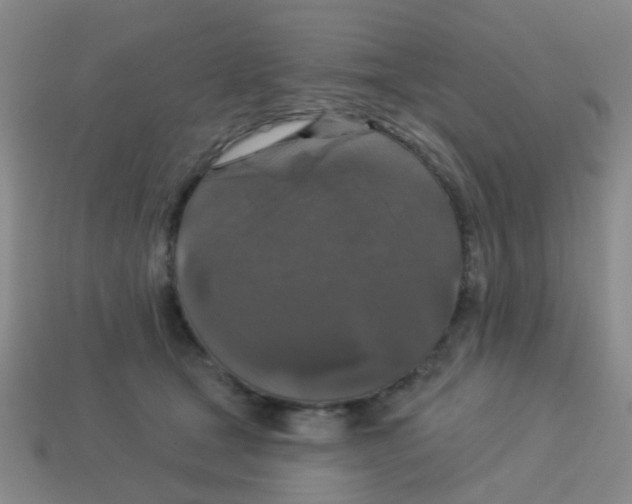X0000113880465200910221359