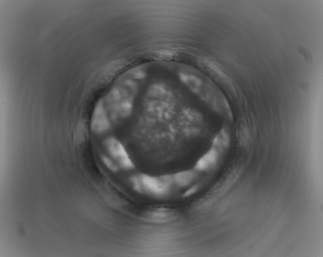 X0000113880467200910221359
