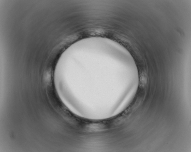X0000113880468200910221400
