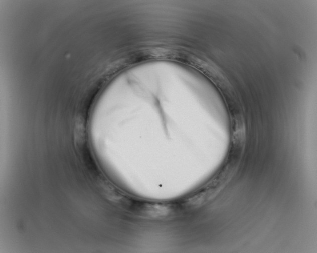 X0000113880469200910221400