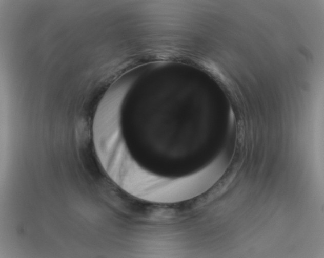 X0000113880471200910221400