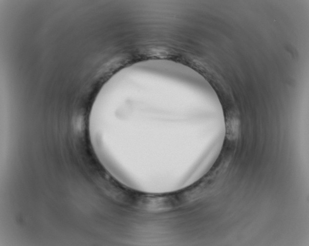 X0000113880472200910221400