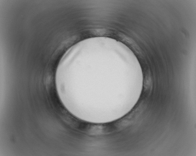 X0000113880473200910221400