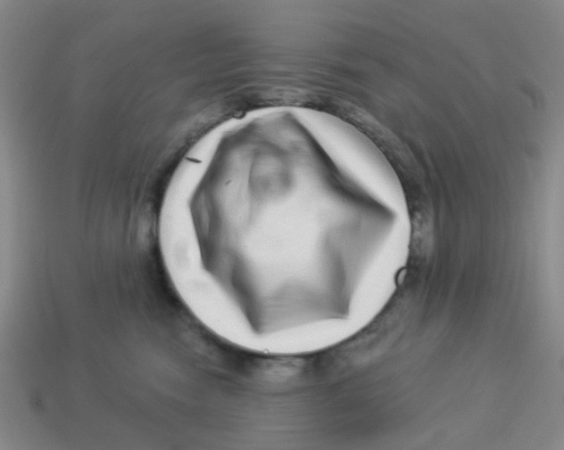 X0000113880474200910221400