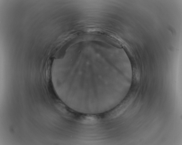 X0000113880475200910221400
