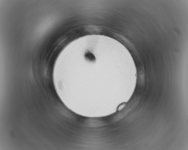 X0000113880477200910221400