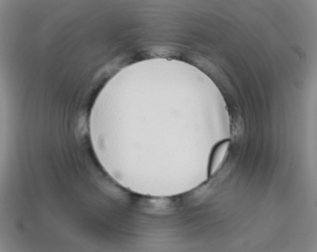 X0000113880478200910221400