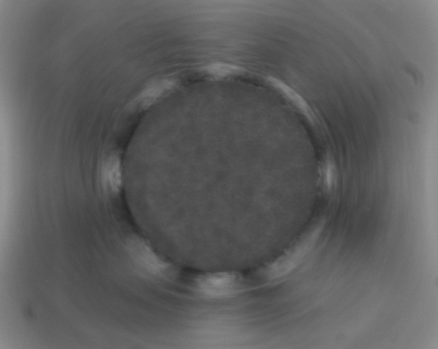 X0000113880479200910221400