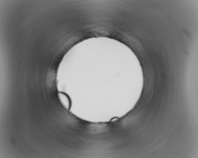 X0000113880480200910221400